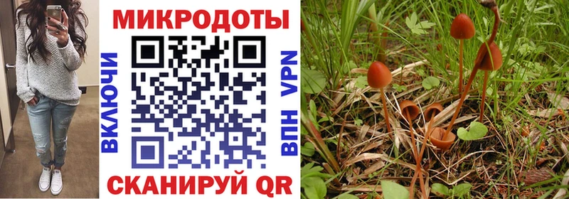 Галлюциногенные грибы MAGIC MUSHROOMS  где найти наркотики  Рудня 